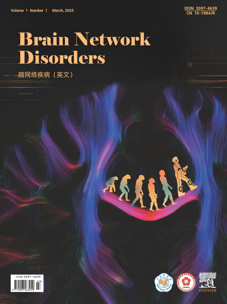 Brain Network Disorders
